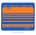 Fantastic Merlins Live Cover